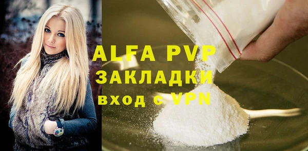 прущие грибы Белая Холуница