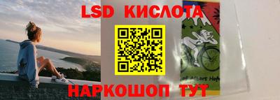 прущая мука Гатчина