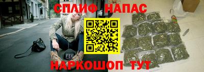spice Гай