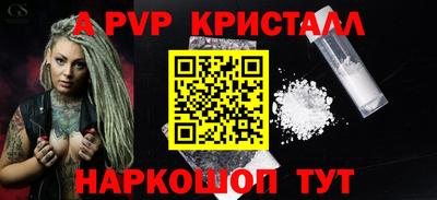 spice Гай