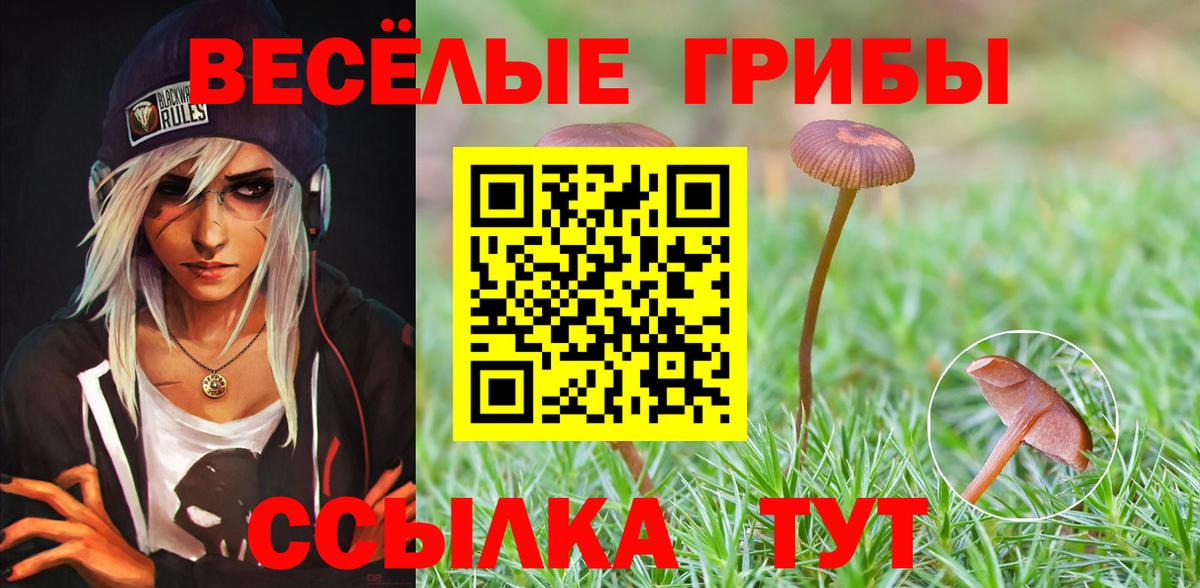 Галлюциногенные грибы Magic Shrooms  Вход с VPN  Электрогорск 