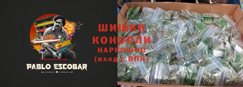 дарнет шоп  Электрогорск  Каннабис White Widow 